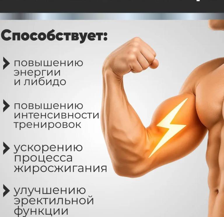 Состав средства Уромакс